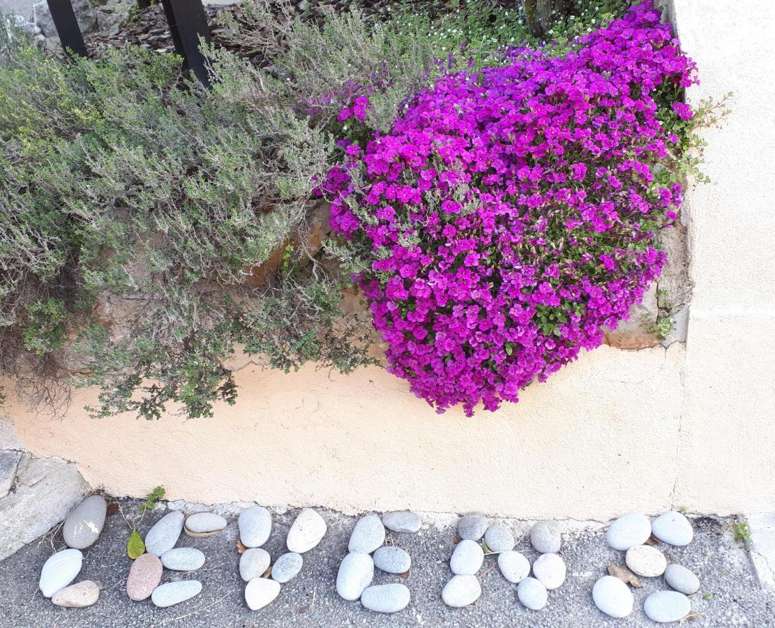 Bed and Breakfast Lou Mas Dau Paigran Saint-Blaise  Экстерьер фото