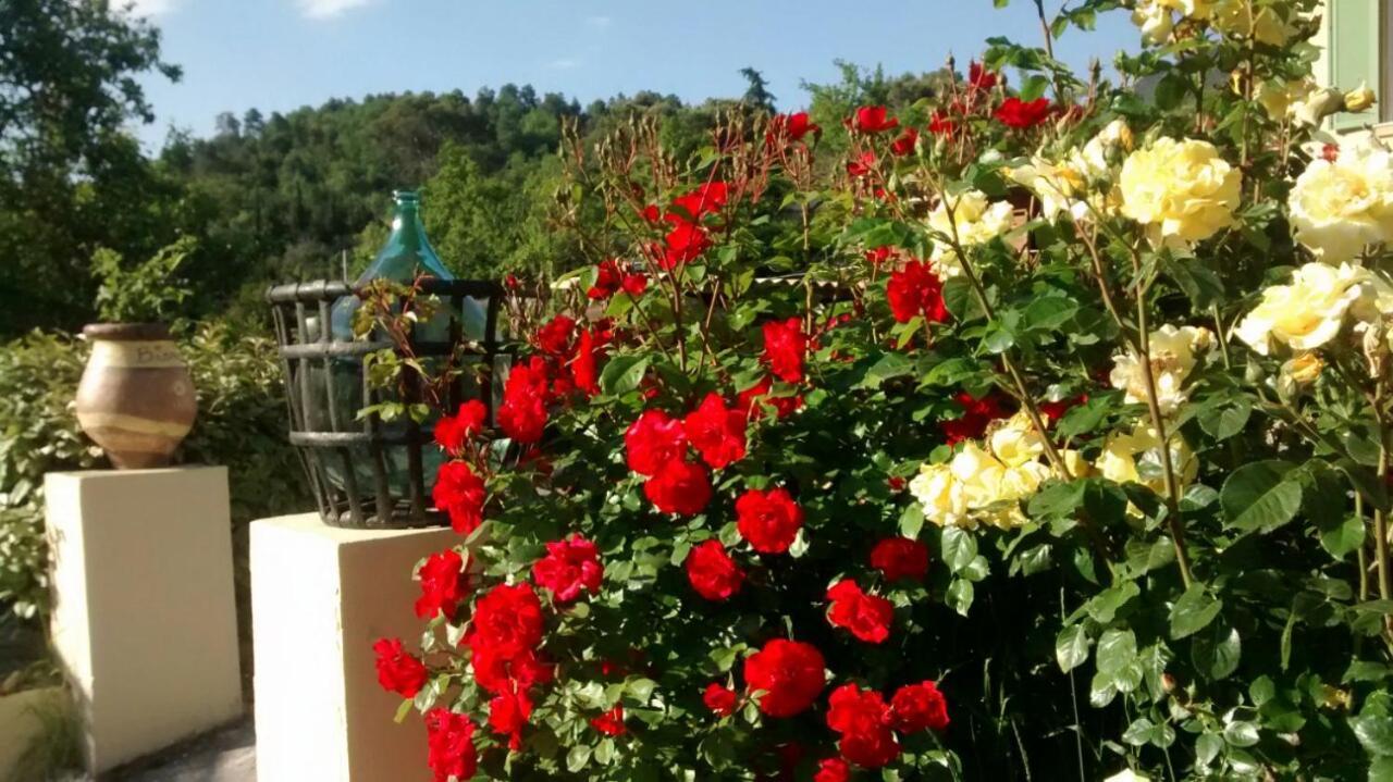 Bed and Breakfast Lou Mas Dau Paigran Saint-Blaise  Экстерьер фото